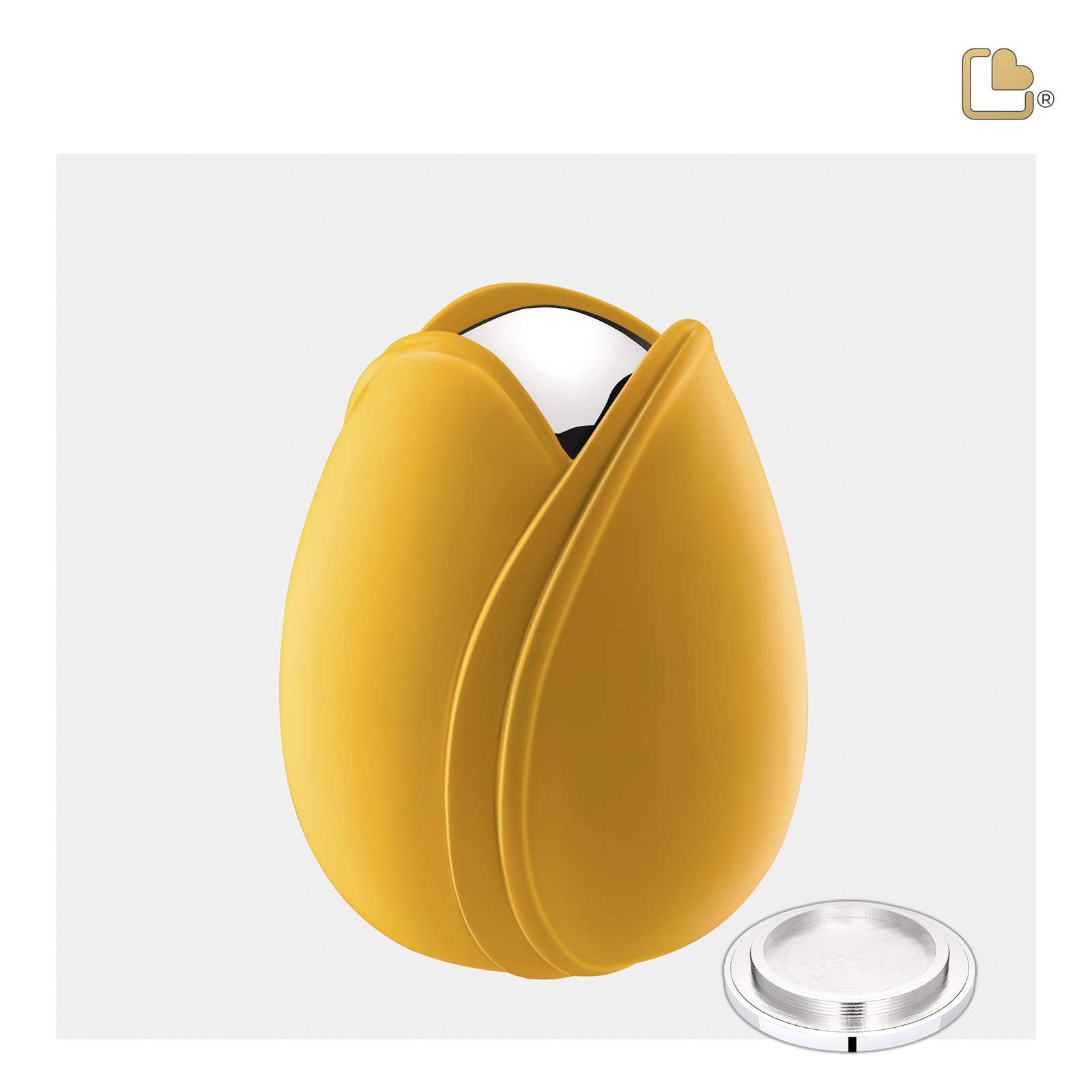 M1050 Tulip Medium Urn Yellow & Pol Silver
