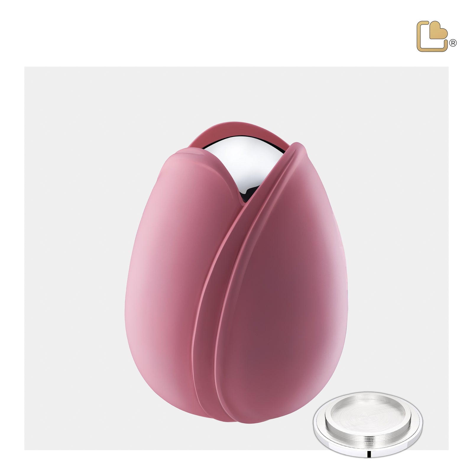 M1053 Tulip Medium Urn Pink & Pol Silver