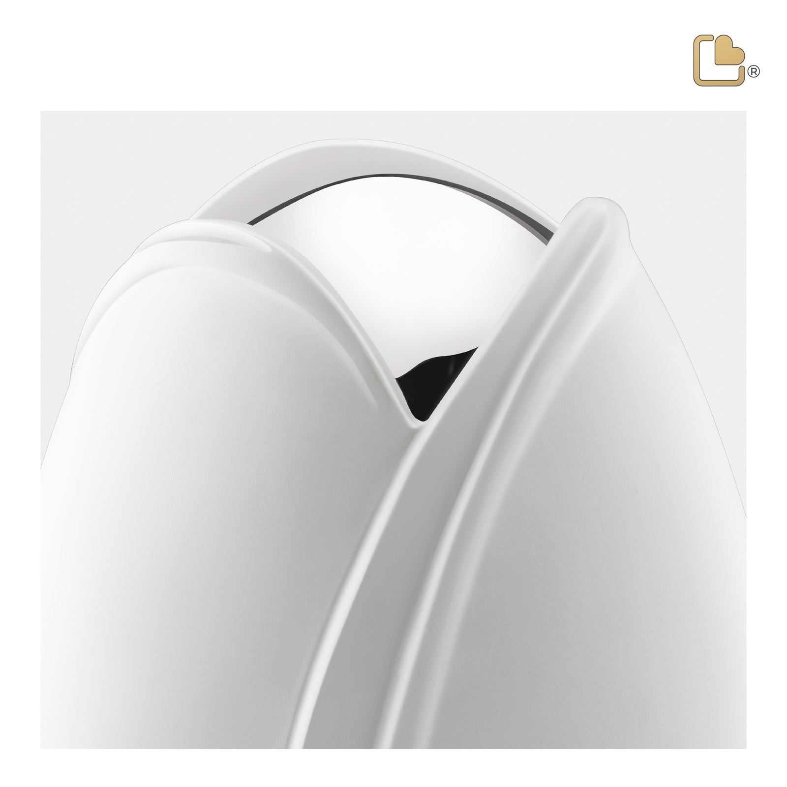 M1055 Tulip Medium Urn White & Pol Silver