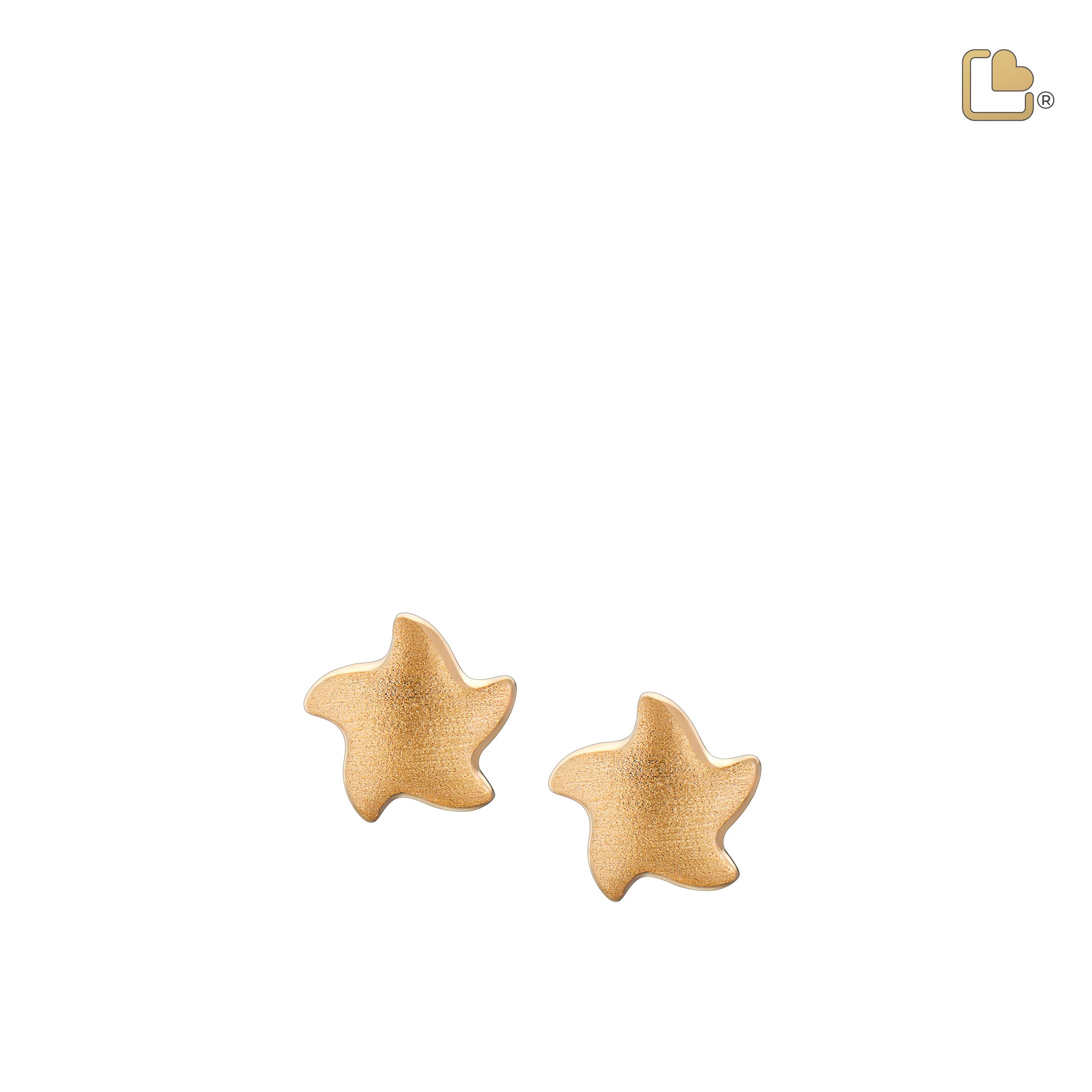 ER1031   Angelic Star Stud Earrings Bru Gold Vermeil