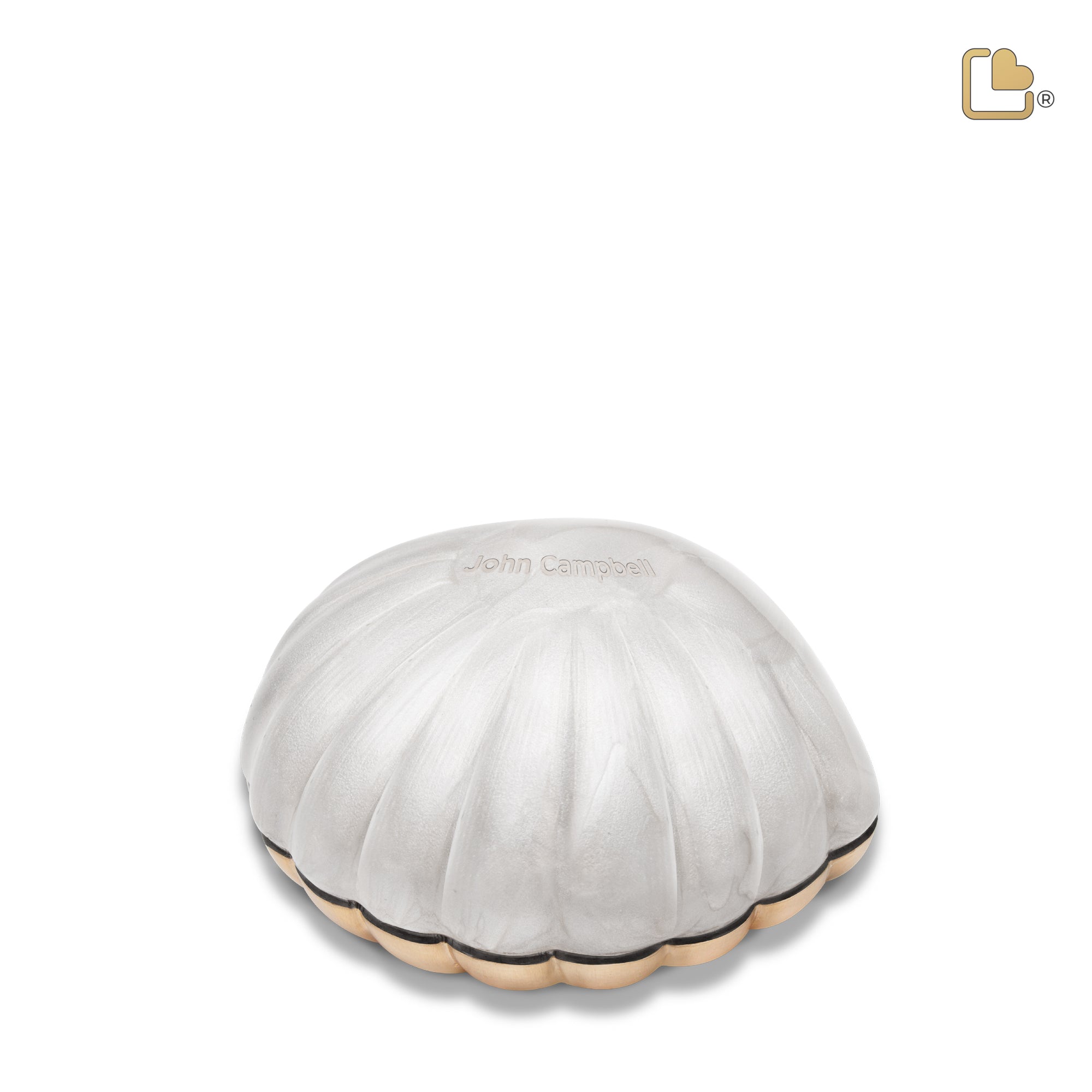 K641   Shell Keepsake Urn Pearl White & Bru Gold