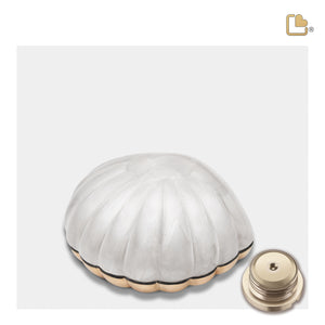 K641   Shell Keepsake Urn Pearl White & Bru Gold