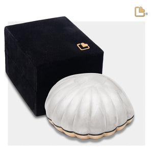 K641   Shell Keepsake Urn Pearl White & Bru Gold