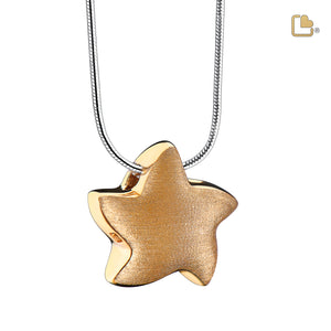 PD1031   Angelic Star Ashes Pendant Bru Gold Vermeil