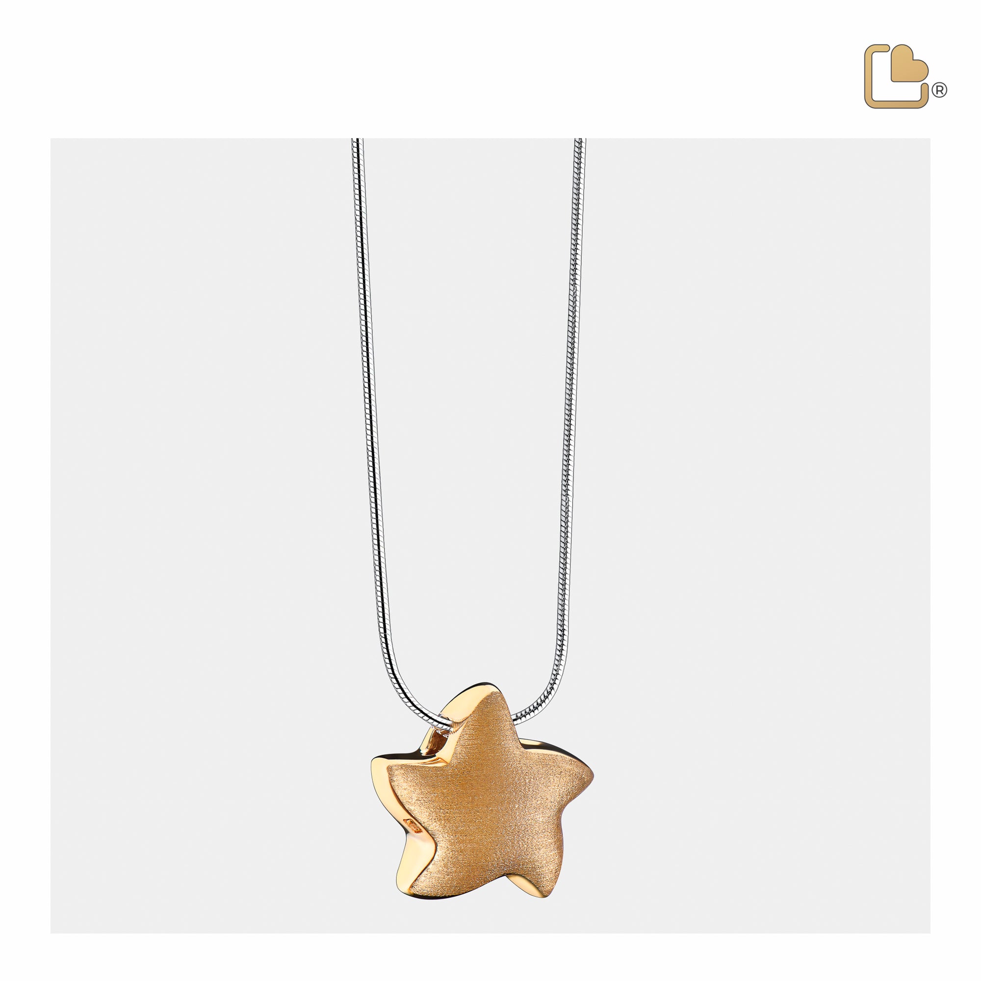 PD1031   Angelic Star Ashes Pendant Bru Gold Vermeil