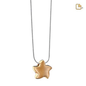 PD1031   Angelic Star Ashes Pendant Bru Gold Vermeil